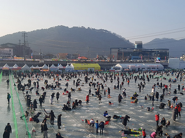 2019 화천 산천어 축제 